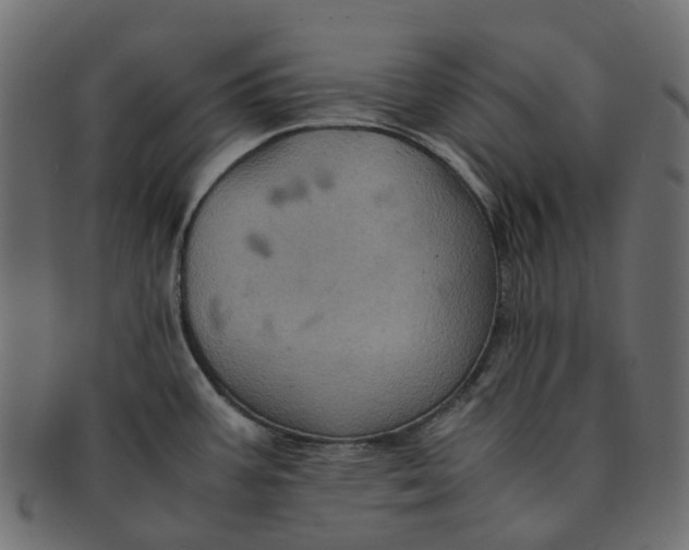 X0000091541387200709071054