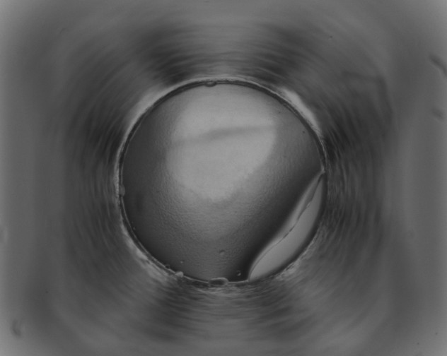 X0000091541388200709071054