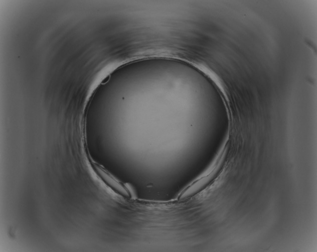 X0000091541389200709071054