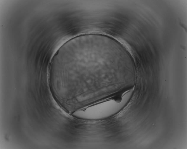 X0000091541390200709071054