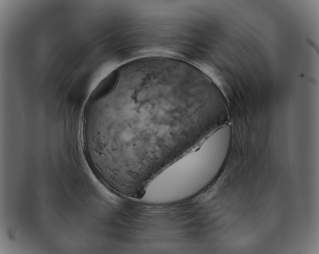 X0000091541391200709071054