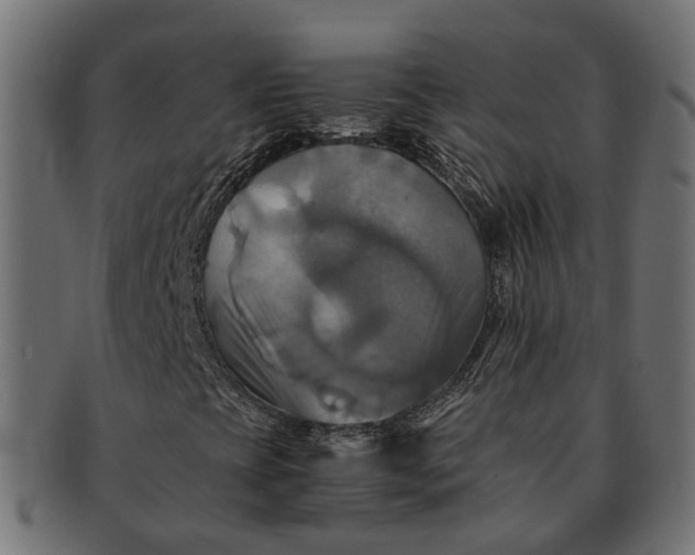 X0000091541393200709071053