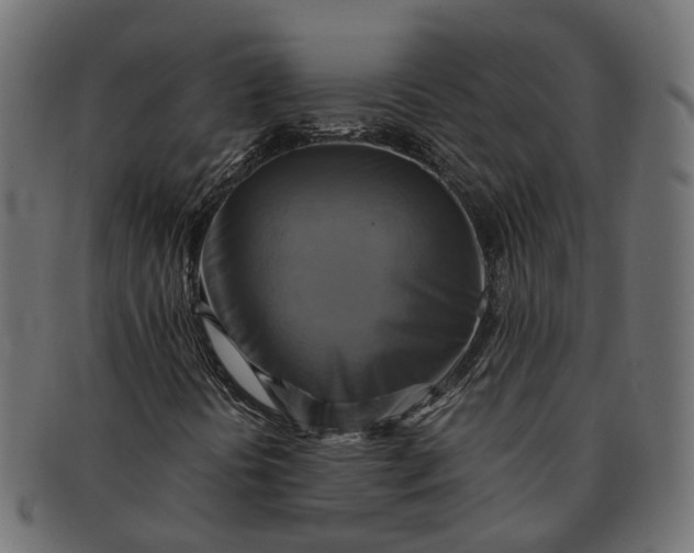 X0000091541394200709071053