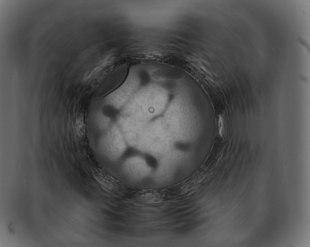 X0000091541395200709071053