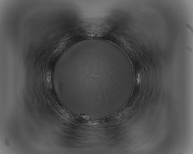 X0000091541396200709071053