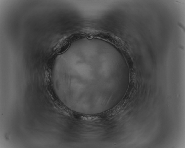 X0000091541397200709071053