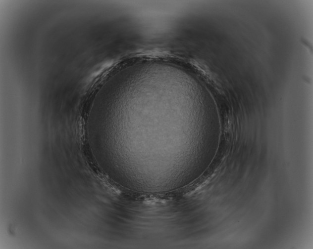 X0000091541398200709071053