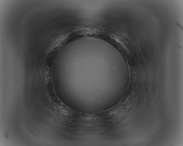 X0000091541399200709071053