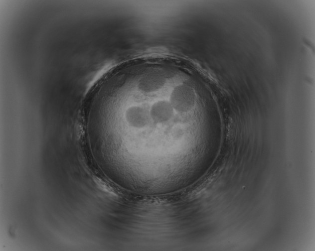 X0000091541400200709071053