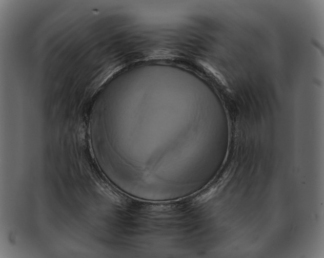 X0000091541401200709071053