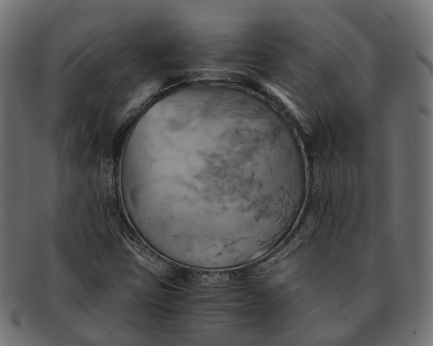 X0000091541403200709071053