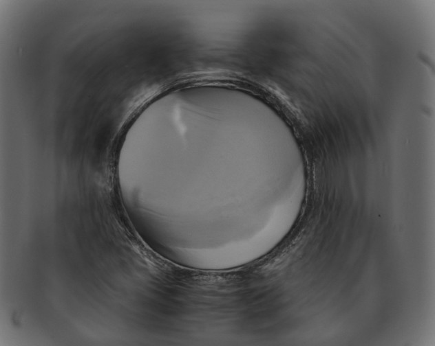 X0000091541405200709071053