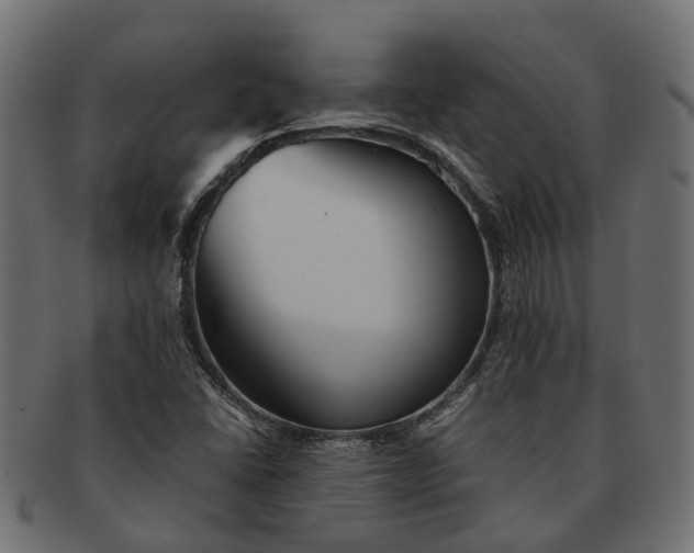 X0000091541406200709071053