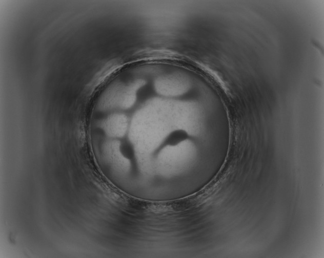 X0000091541407200709071053