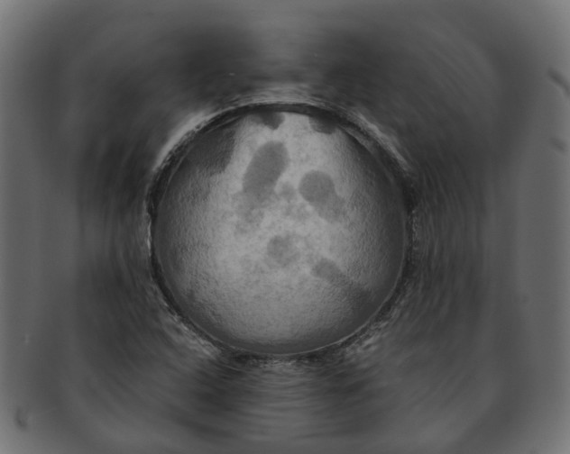 X0000091541408200709071053