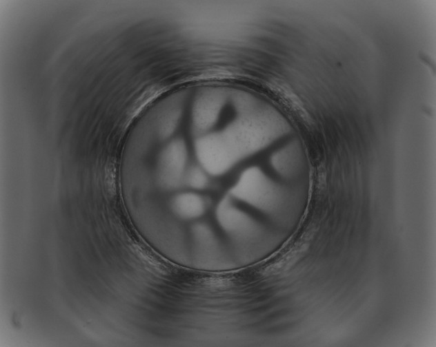 X0000091541409200709071053