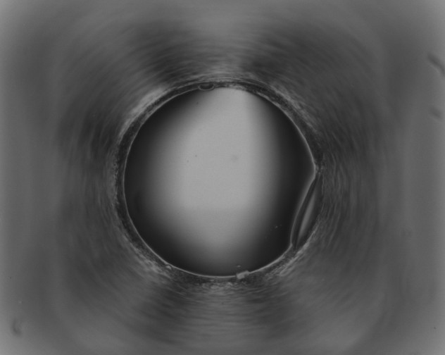 X0000091541410200709071053