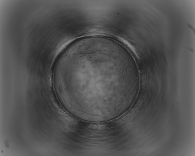 X0000091541415200709071053