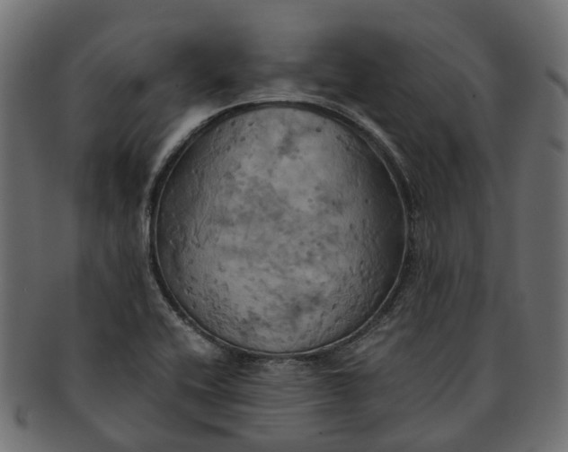 X0000091541416200709071053