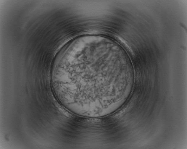 X0000091541417200709071053
