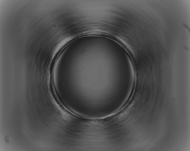 X0000091541418200709071053