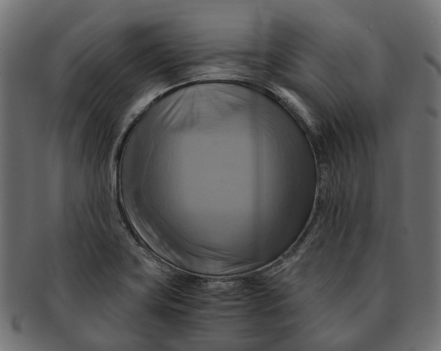 X0000091541419200709071053