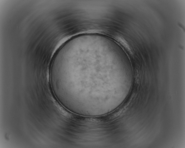 X0000091541420200709071053