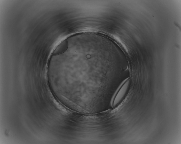 X0000091541421200709071053