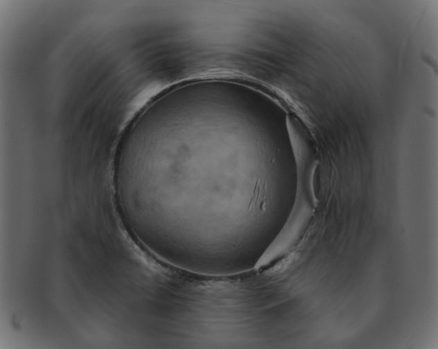 X0000091541422200709071053