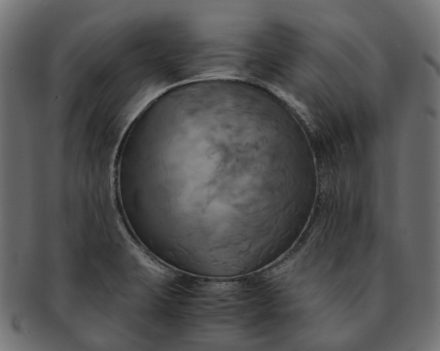 X0000091541423200709071053