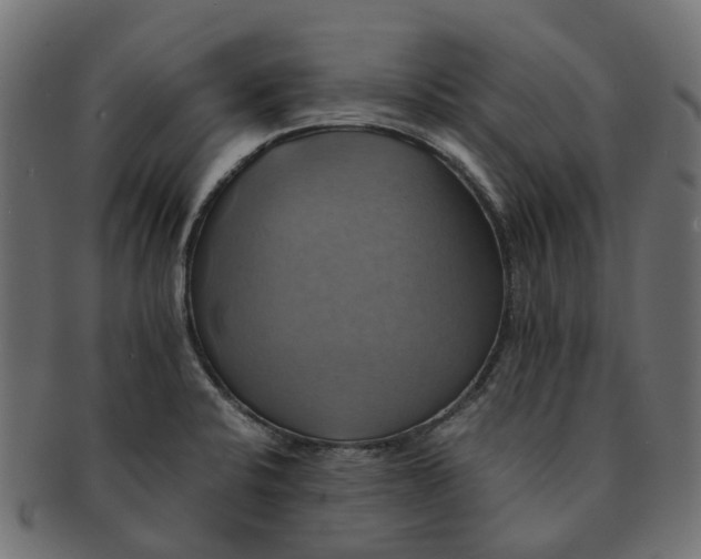 X0000091541424200709071054