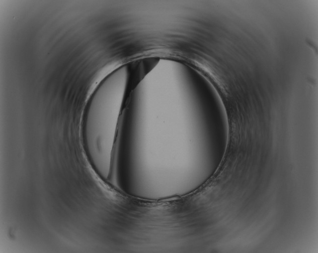 X0000091541426200709071054