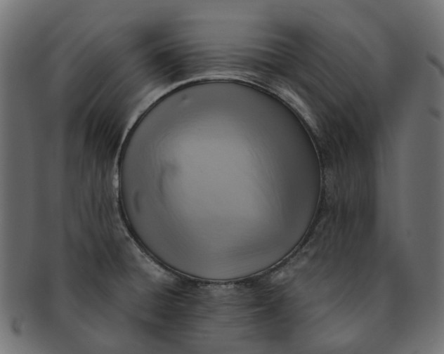 X0000091541428200709071054