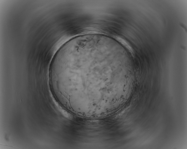 X0000091541431200709071054