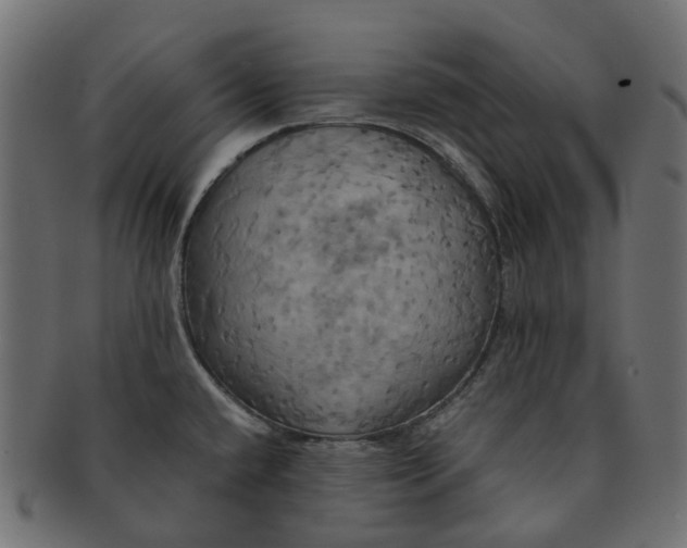 X0000091541432200709071054