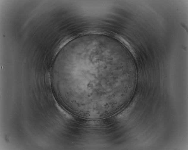 X0000091541433200709071054