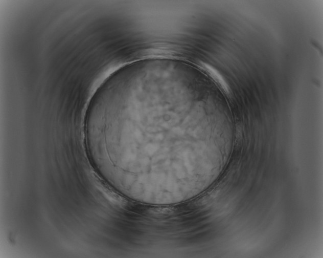 X0000091541435200709071054