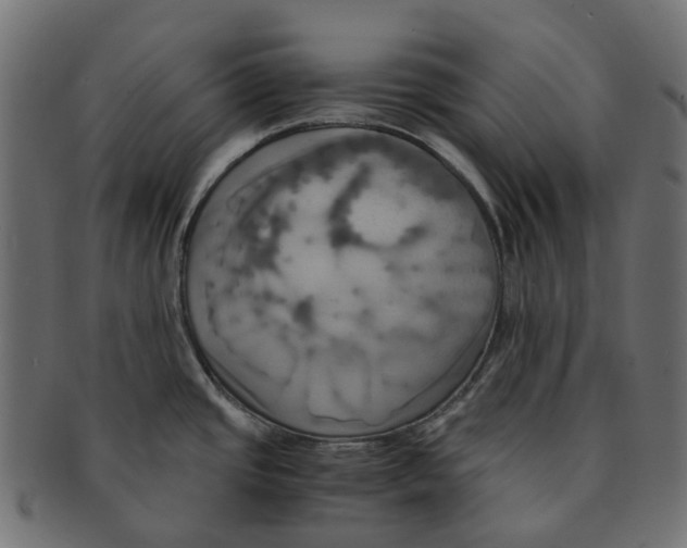 X0000091541437200709071054