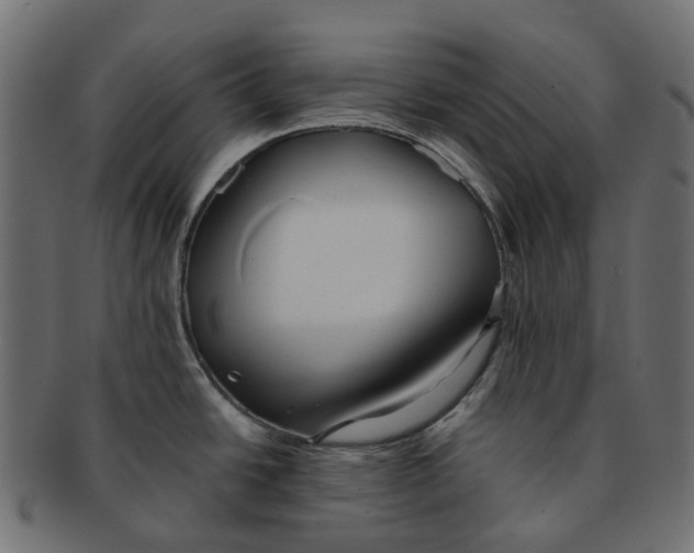 X0000091541438200709071054