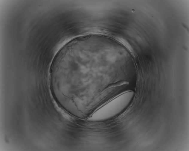 X0000091541439200709071054