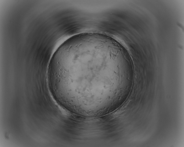 X0000091541440200709071054