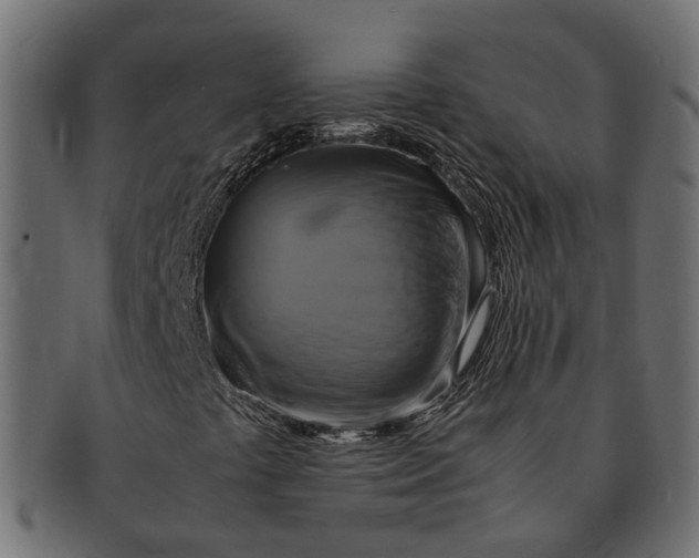 X0000091541441200709071053