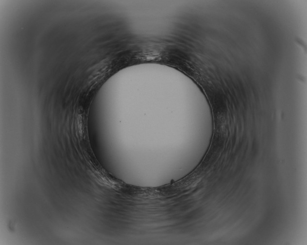 X0000091541442200709071053