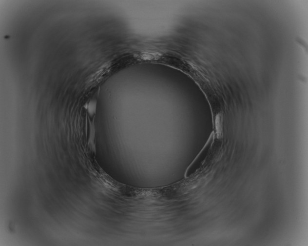 X0000091541443200709071053