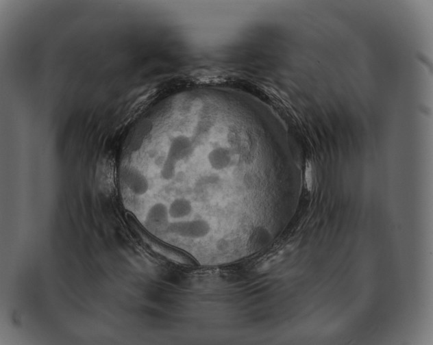 X0000091541444200709071053