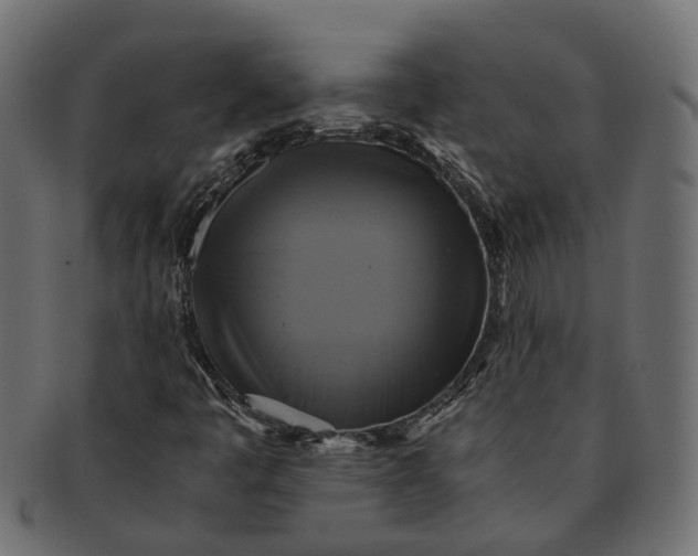 X0000091541445200709071053