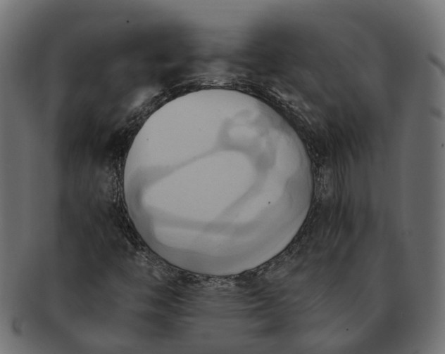 X0000091541446200709071053