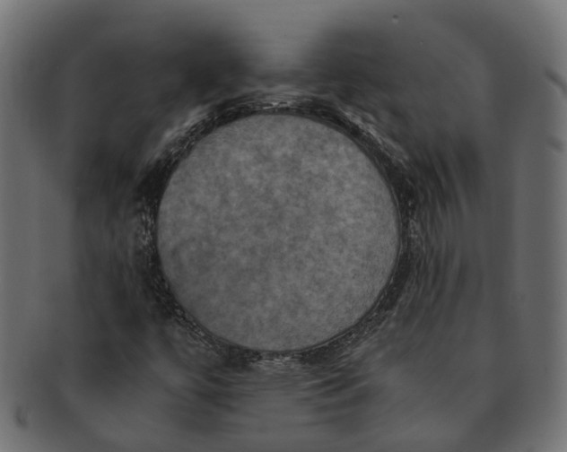 X0000091541447200709071053