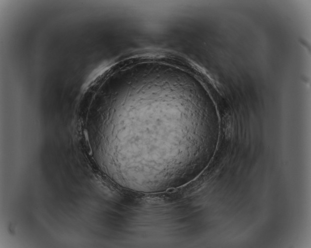 X0000091541448200709071053