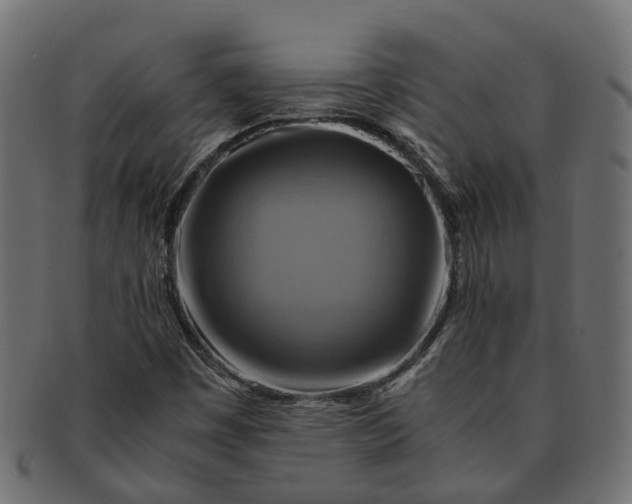 X0000091541449200709071053